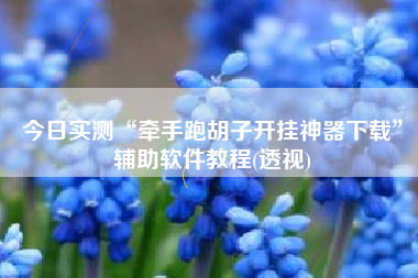今日实测“牵手跑胡子开挂神器下载”辅助软件教程(透视)