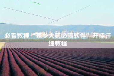 必看教程“家乡大贰必赢软件”开挂详细教程