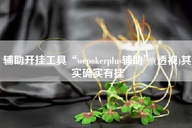 辅助开挂工具“wepokerplus辅助”(透视)其实确实有挂