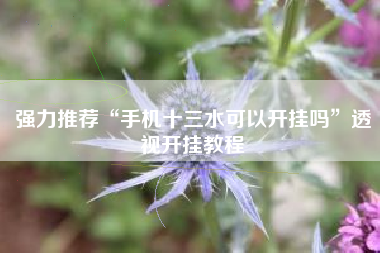 强力推荐“手机十三水可以开挂吗	”透视开挂教程