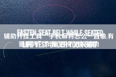 辅助开挂工具“手机麻将怎么一直输,有猫腻吗”作弊(透视)透视辅助