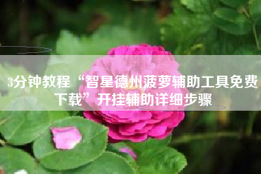 3分钟教程“智星德州菠萝辅助工具免费下载”开挂辅助详细步骤