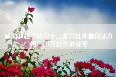 辅助教程“哈局十三张开挂神器玩法介绍”附开挂脚本详细