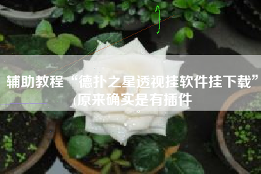 辅助教程“德扑之星透视挂软件挂下载”(原来确实是有插件