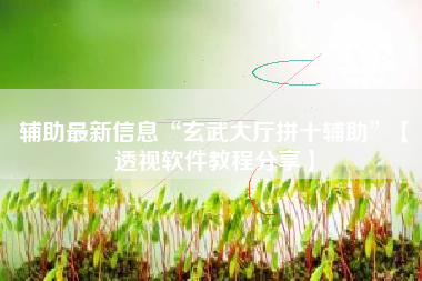 辅助最新信息“玄武大厅拼十辅助”【透视软件教程分享】