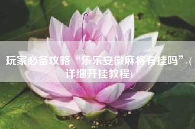 玩家必备攻略“乐乐安徽麻将有挂吗”(详细开挂教程)