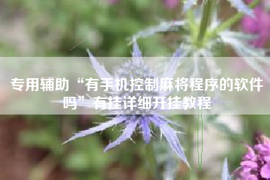 专用辅助“有手机控制麻将程序的软件吗”有挂详细开挂教程