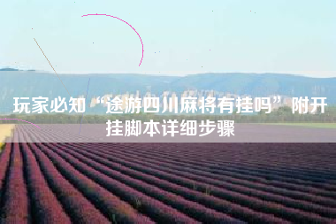 玩家必知“途游四川麻将有挂吗	”附开挂脚本详细步骤