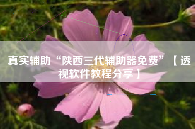 真实辅助“陕西三代辅助器免费”【透视软件教程分享】