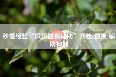秒懂经验“微乐透视辅助	”开挂(透视)辅助神器