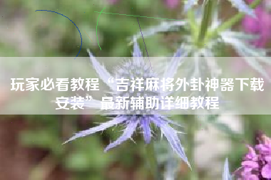 玩家必看教程“吉祥麻将外卦神器下载安装	”最新辅助详细教程