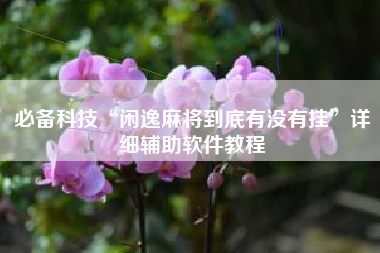必备科技“闲逸麻将到底有没有挂”详细辅助软件教程