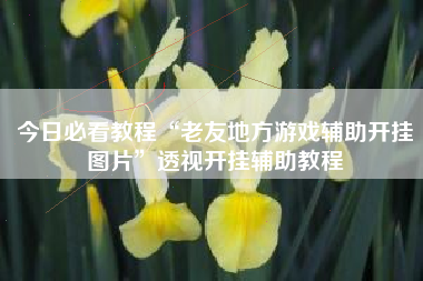 今日必看教程“老友地方游戏辅助开挂图片”透视开挂辅助教程