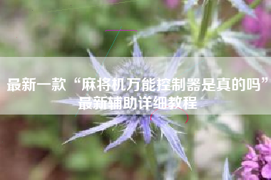 最新一款“麻将机万能控制器是真的吗”最新辅助详细教程