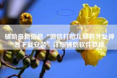 辅助最新信息“微信打哈儿麻将外卦神器下载安装	”详细辅助软件教程