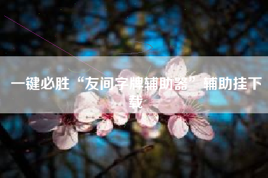 一键必胜“友间字牌辅助器	”辅助挂下载