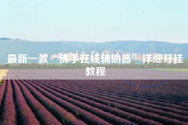 最新一款“佛手在线辅助器”详细开挂教程