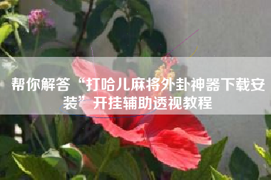 帮你解答“打哈儿麻将外卦神器下载安装”开挂辅助透视教程