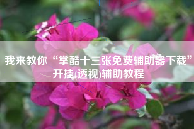 我来教你“掌酷十三张免费辅助器下载	”开挂(透视)辅助教程