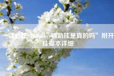 一键必胜“hhpoker辅助挂是真的吗”附开挂脚本详细