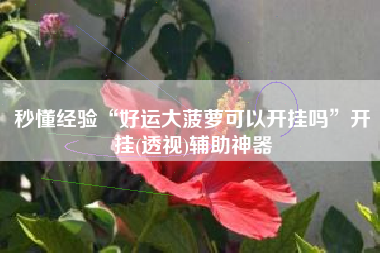 秒懂经验“好运大菠萝可以开挂吗”开挂(透视)辅助神器