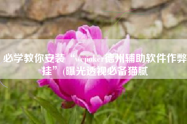 必学教你安装“wepoker德州辅助软件作弊挂”(曝光透视必备猫腻