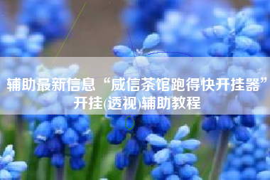 辅助最新信息“威信茶馆跑得快开挂器”开挂(透视)辅助教程