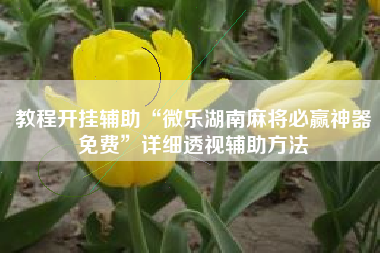 教程开挂辅助“微乐湖南麻将必赢神器免费”详细透视辅助方法