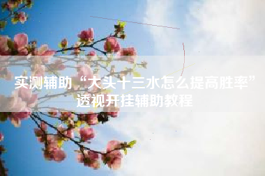 实测辅助“大头十三水怎么提高胜率”透视开挂辅助教程