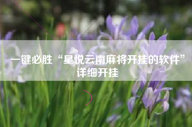 一键必胜“星悦云南麻将开挂的软件”详细开挂