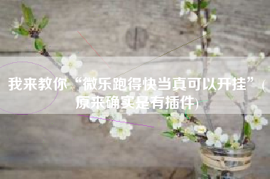 我来教你“微乐跑得快当真可以开挂	”(原来确实是有插件)