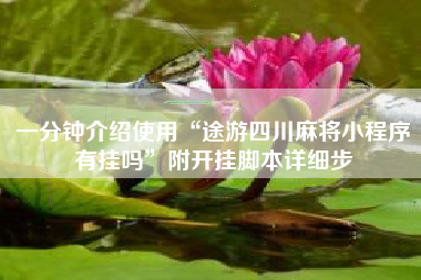 一分钟介绍使用“途游四川麻将小程序有挂吗”附开挂脚本详细步