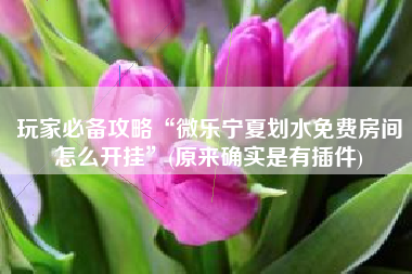 玩家必备攻略“微乐宁夏划水免费房间怎么开挂”(原来确实是有插件)