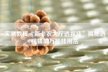 实测教程“新卡农大厅透视挂	”揭秘透视辅助万能挂用法