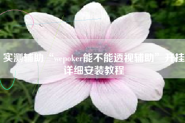 实测辅助“wepoker能不能透视辅助”开挂详细安装教程