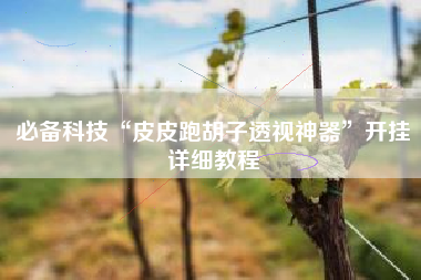 必备科技“皮皮跑胡子透视神器”开挂详细教程