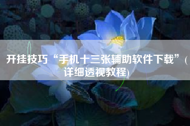 开挂技巧“手机十三张辅助软件下载	”(详细透视教程)