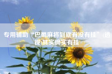 专用辅助“巴蜀麻将到底有没有挂”(透视)其实确实有挂