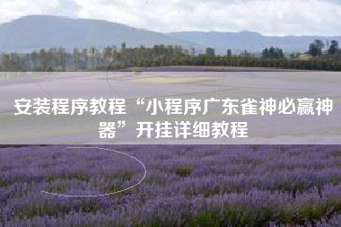 安装程序教程“小程序广东雀神必赢神器”开挂详细教程