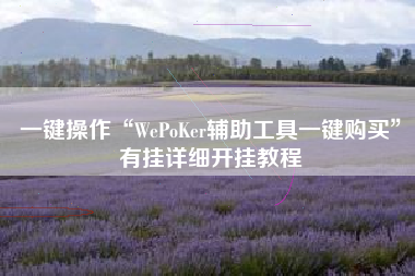 一键操作“WePoKer辅助工具一键购买”有挂详细开挂教程