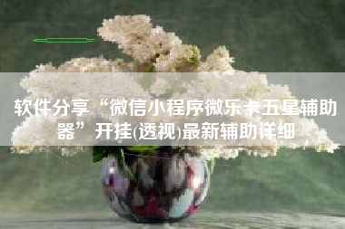 软件分享“微信小程序微乐卡五星辅助器	”开挂(透视)最新辅助详细