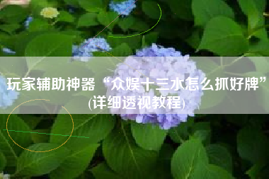 玩家辅助神器“众娱十三水怎么抓好牌	”(详细透视教程)