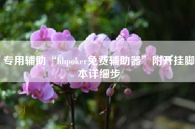 专用辅助“hhpoker免费辅助器”附开挂脚本详细步