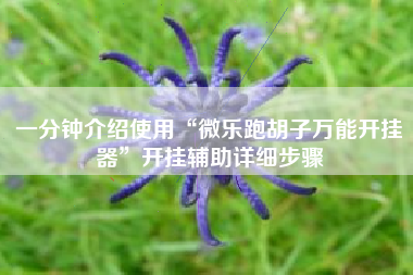 一分钟介绍使用“微乐跑胡子万能开挂器”开挂辅助详细步骤