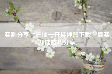 实测分享“三加一开挂神器下载”真实开挂技巧分享