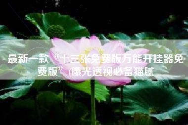 最新一款“十三张免费版万能开挂器免费版”(曝光透视必备猫腻