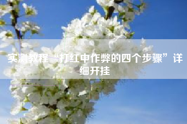 实测教程“打红中作弊的四个步骤	”详细开挂