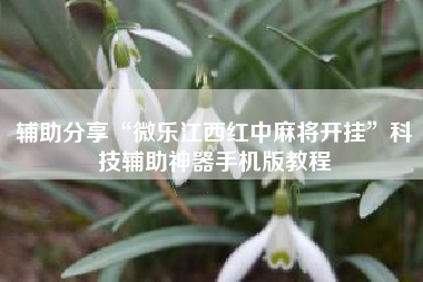 辅助分享“微乐江西红中麻将开挂”科技辅助神器手机版教程