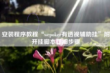 安装程序教程“wepoker有透视辅助挂	”附开挂脚本详细步骤