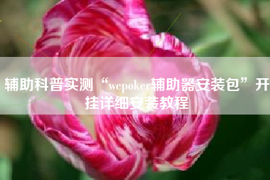 辅助科普实测“wepoker辅助器安装包”开挂详细安装教程